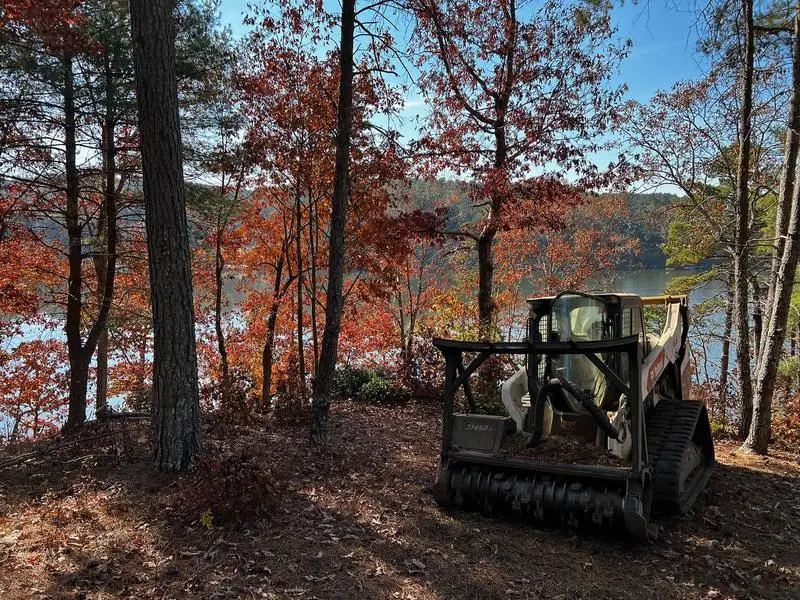 Skid steer with mulching head working a lakeside lot