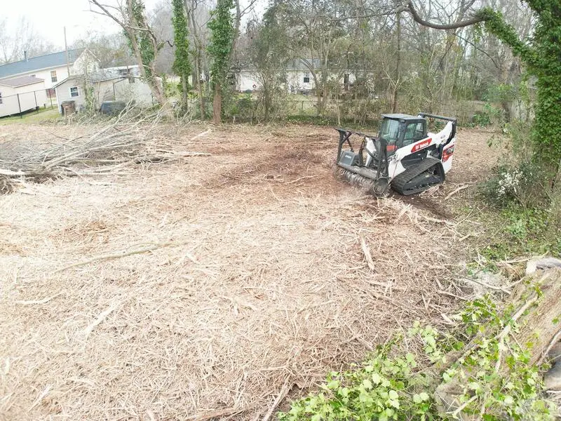 Mulched ground cover left behind after clearing