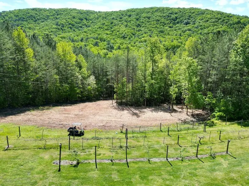 Cleared field surrounded by mature timber