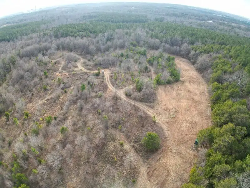 Aerial view of a mulched hillside opened up for pasture